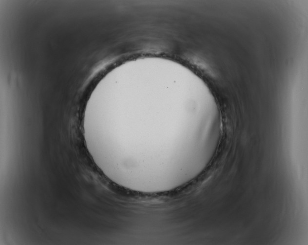 X0000086111256200704132201