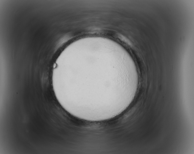 X0000086111259200704132201