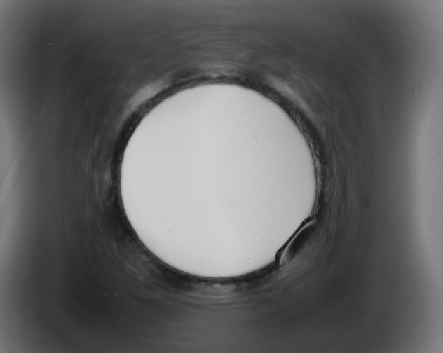 X0000086111261200704132201