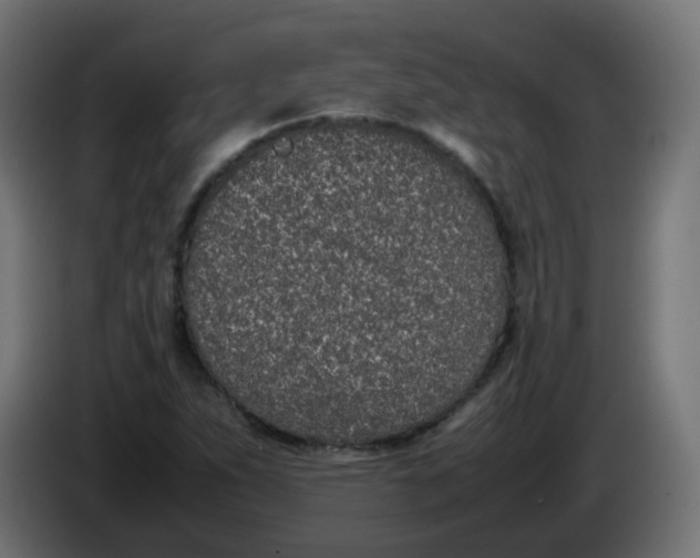 X0000086111263200704132201