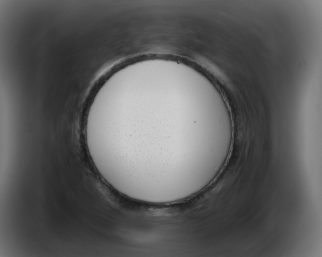 X0000086111264200704132201