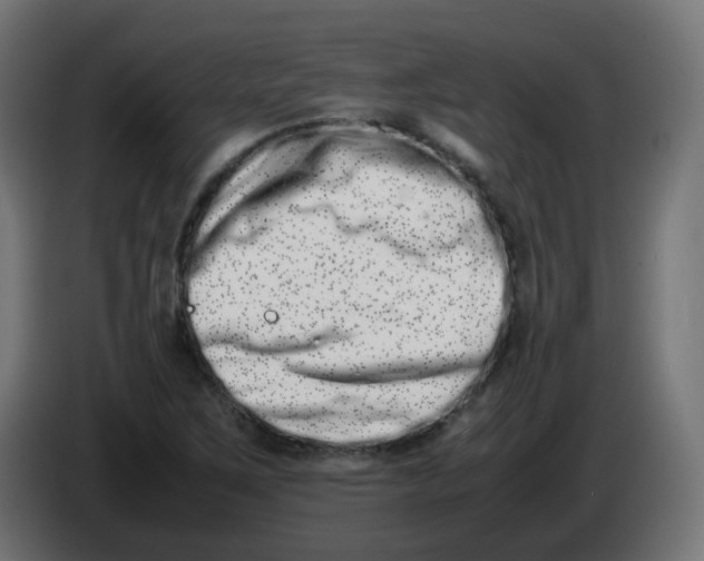 X0000086111267200704132201