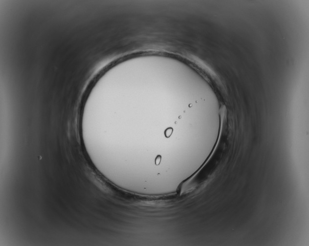 X0000086111272200704132201