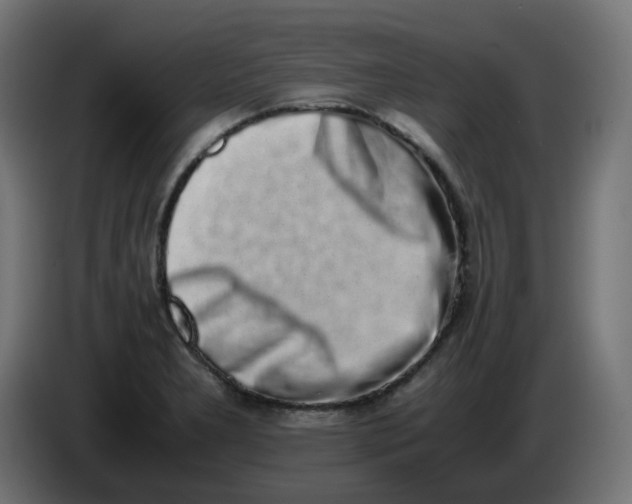 X0000086111277200704132201