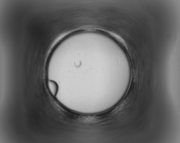 X0000086111279200704132201