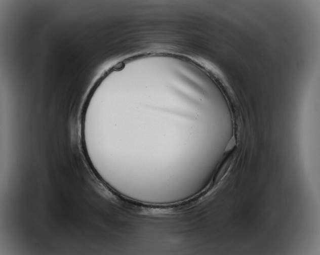 X0000086111280200704132201