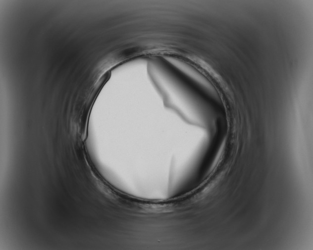 X0000086111281200704132201