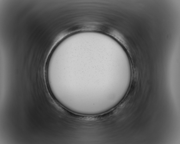 X0000086111283200704132201