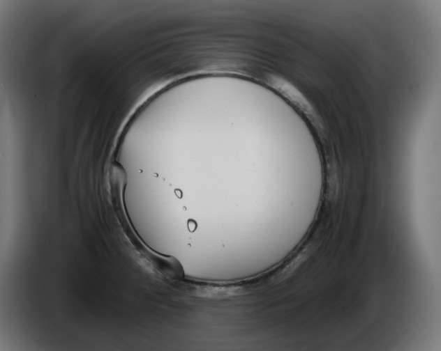 X0000086111284200704132201