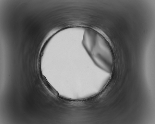 X0000086111285200704132201