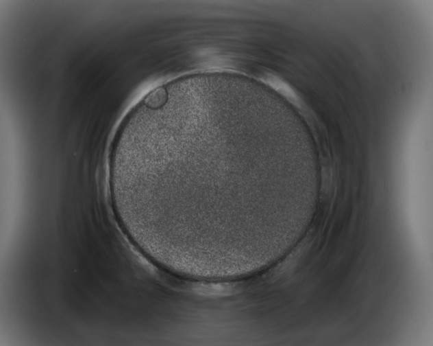 X0000086111286200704132201