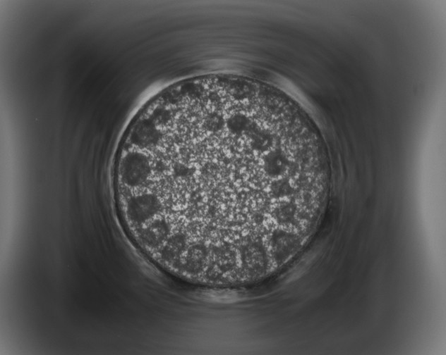 X0000086111291200704132201