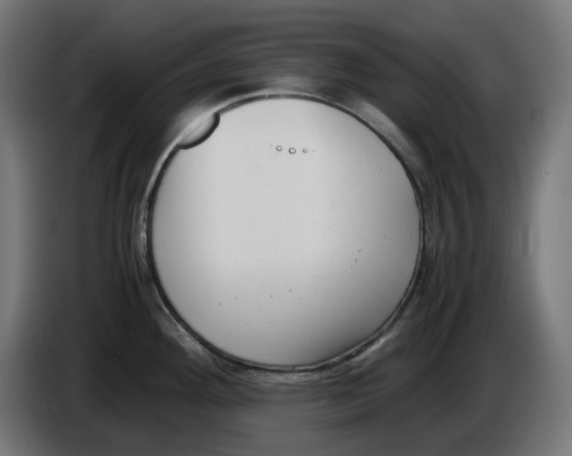 X0000086111292200704132201