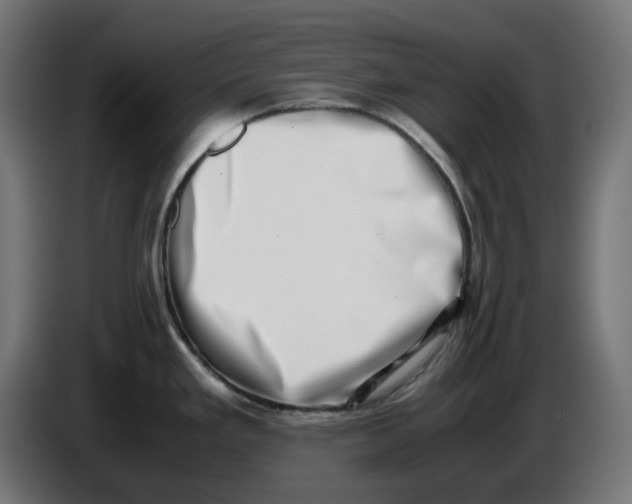 X0000086111293200704132201