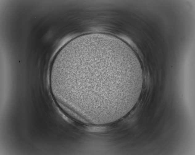 X0000086111294200704132201