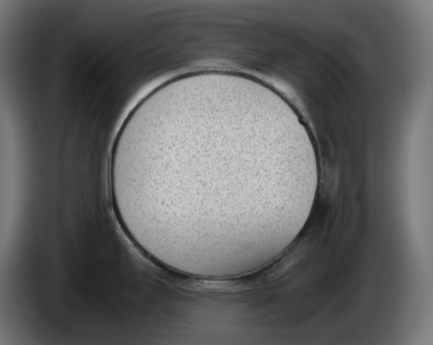 X0000086111295200704132201