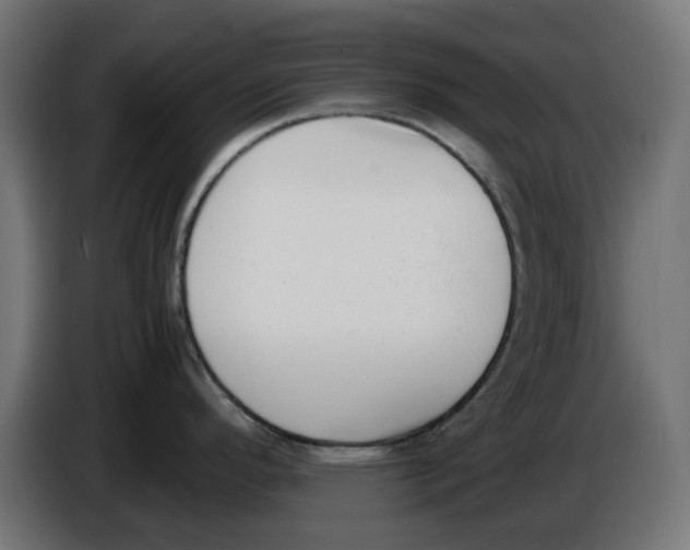 X0000086111296200704132201