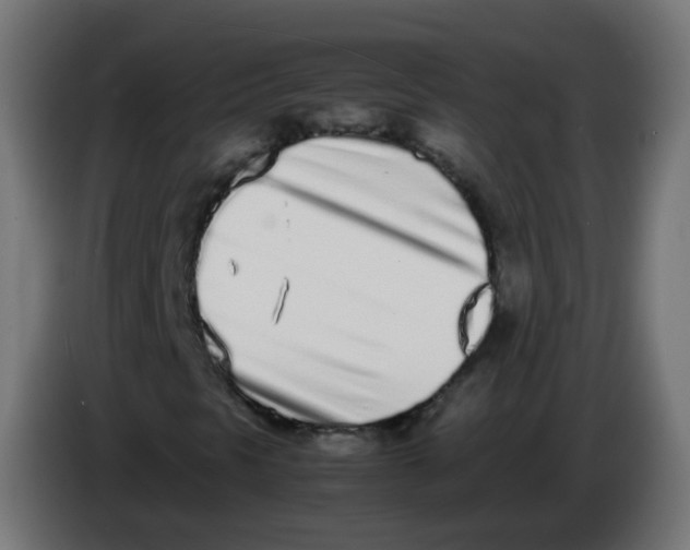 X0000086111297200704132200