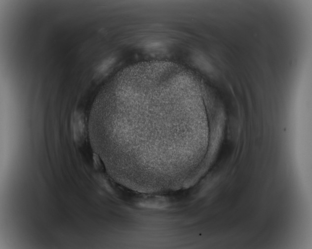 X0000086111298200704132200