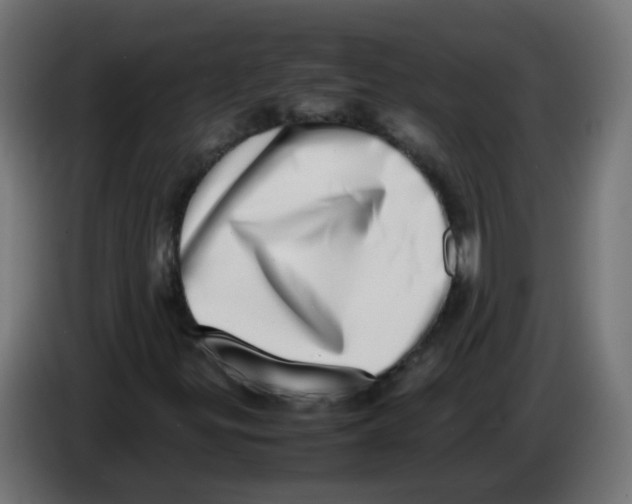 X0000086111299200704132200