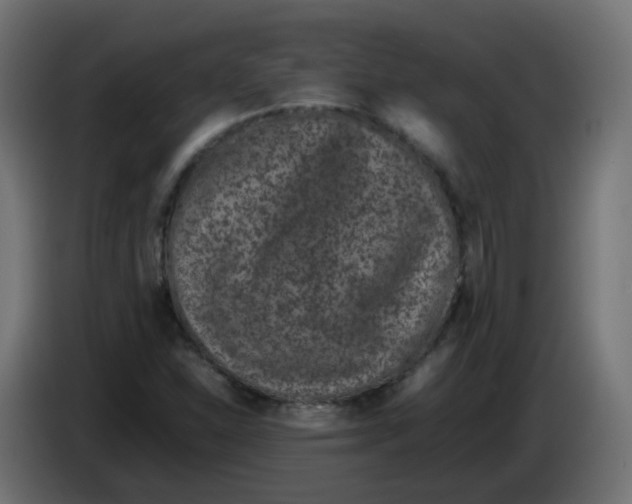 X0000086111310200704132200