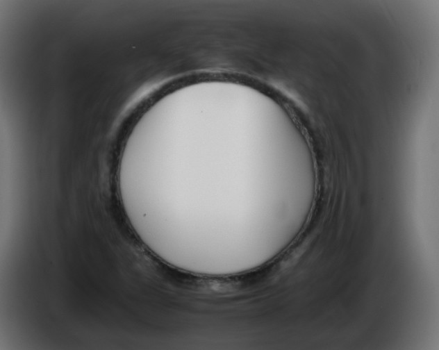 X0000086111311200704132200