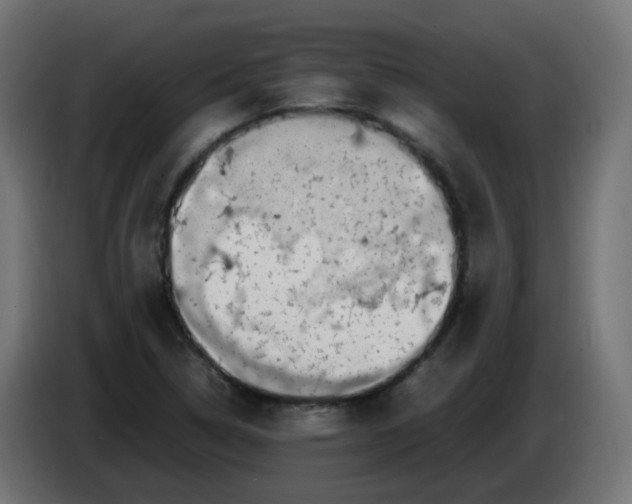 X0000086111314200704132200