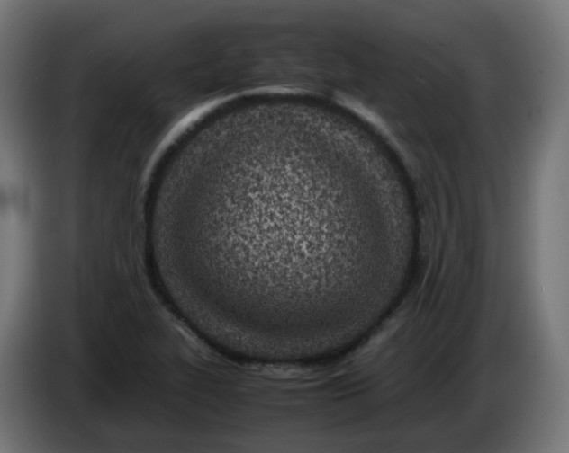 X0000086111319200704132200