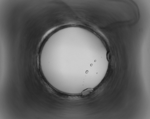 X0000086111320200704132200