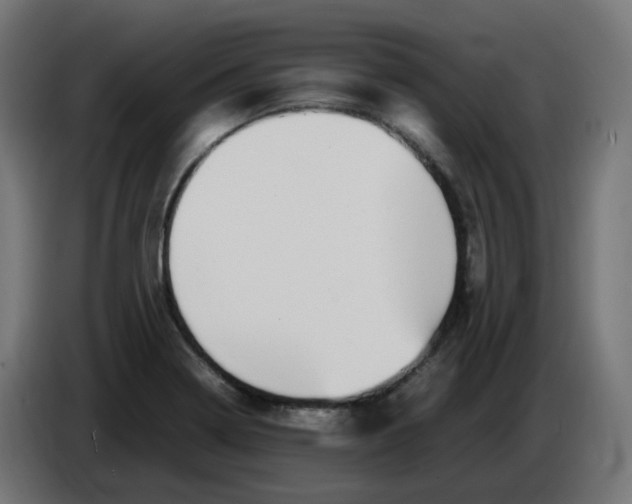 X0000086111322200704132200