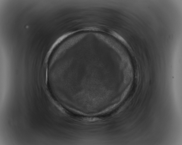 X0000086111323200704132200