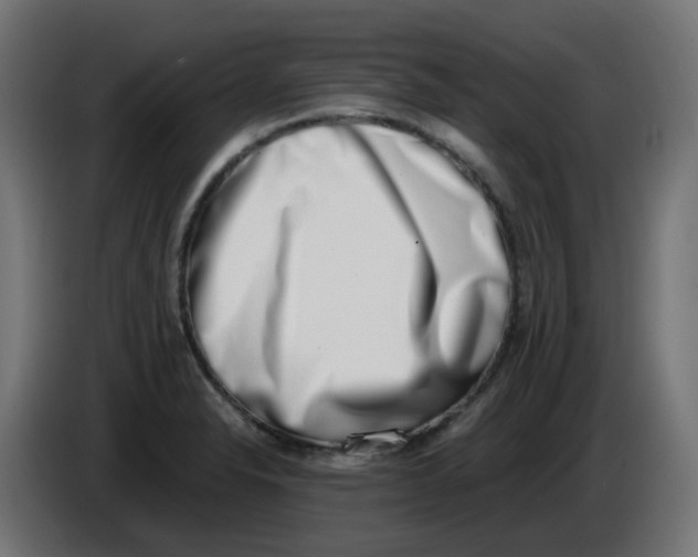 X0000086111326200704132201