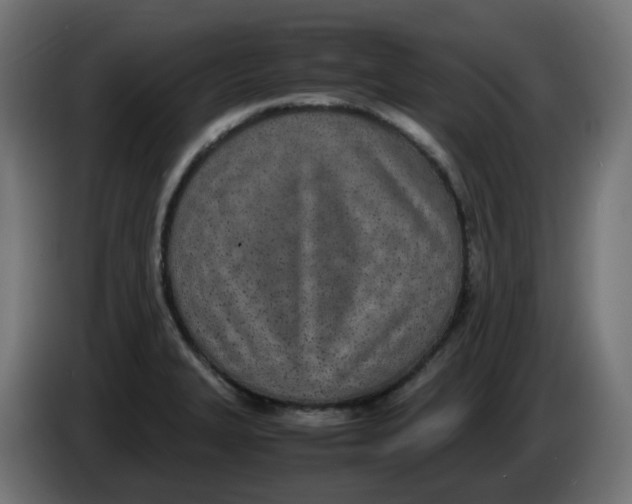 X0000086111327200704132201