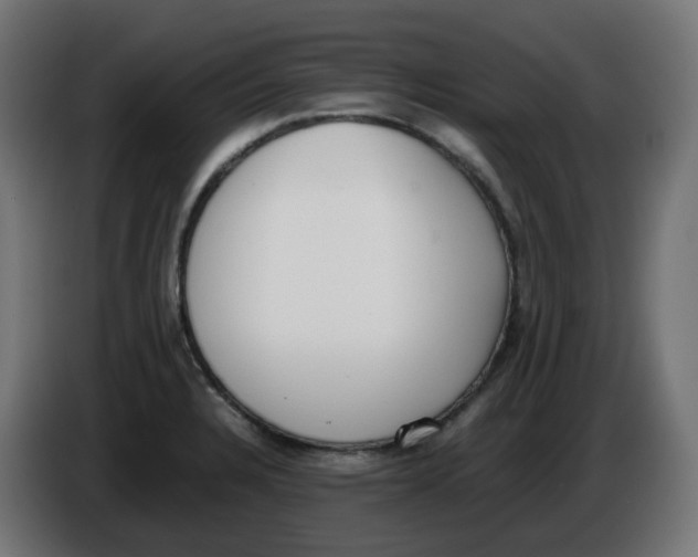 X0000086111328200704132201