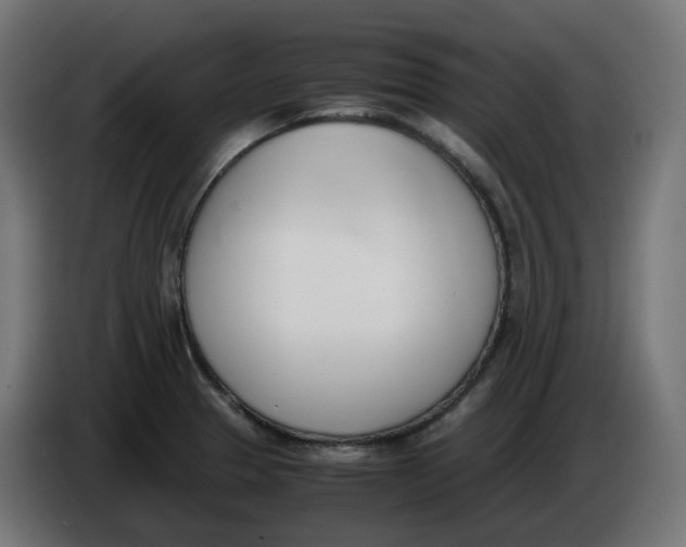 X0000086111329200704132201