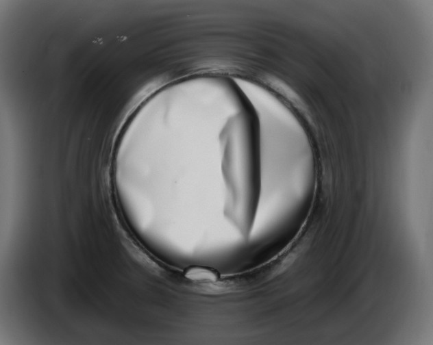 X0000086111330200704132201