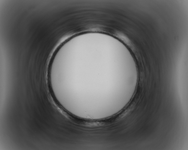 X0000086111331200704132201