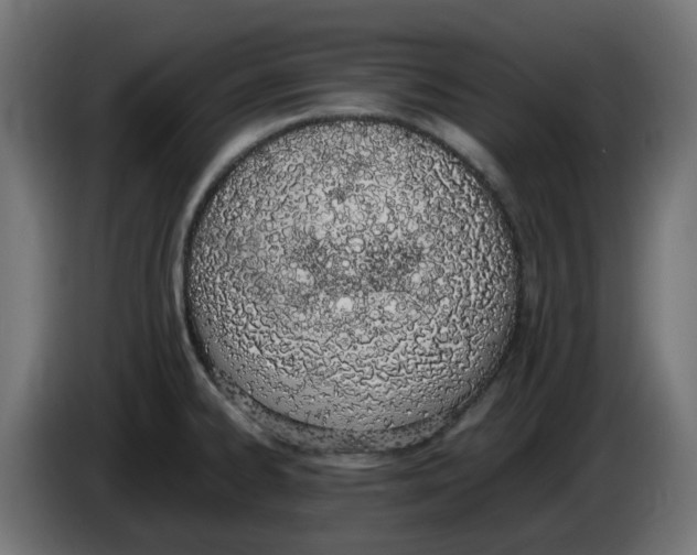 X0000086111334200704132201