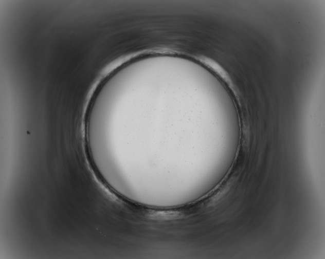 X0000086111335200704132201