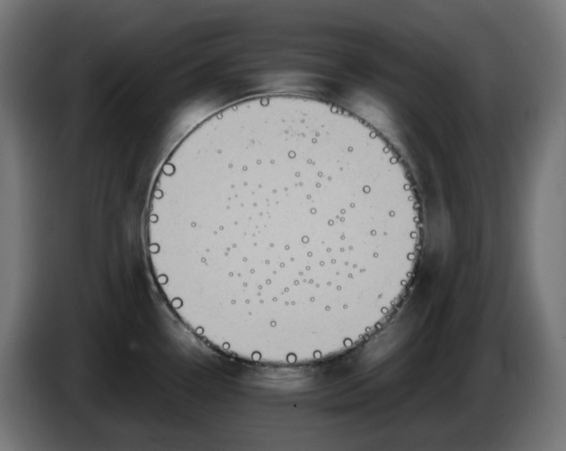 X0000086111338200704132201