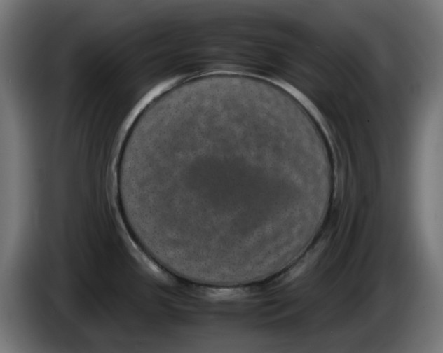 X0000086111341200704132201