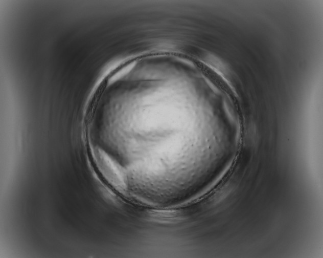 X0000086111342200704132201