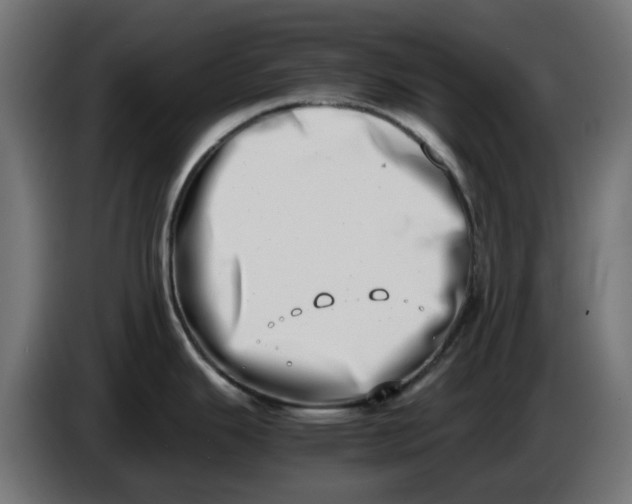 X0000086111343200704132201