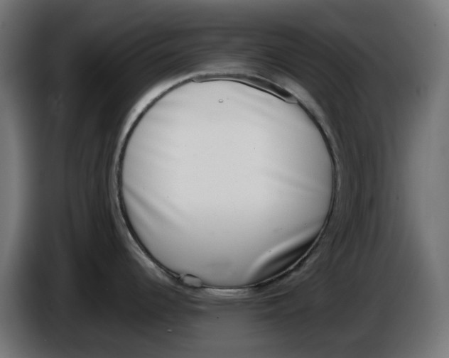 X0000086111344200704132201