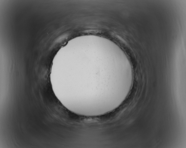 X0000086111351200704132200