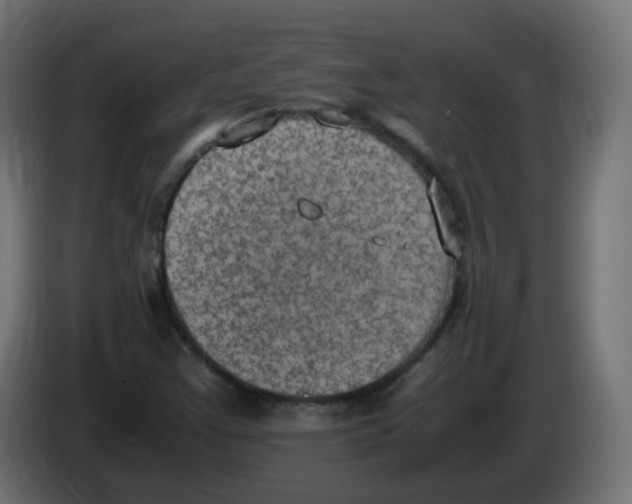 X0000086111355200704132200