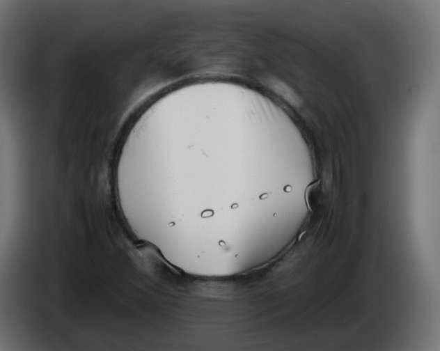 X0000086111356200704132200