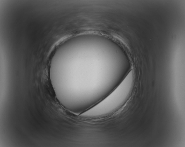 X0000086111357200704132200