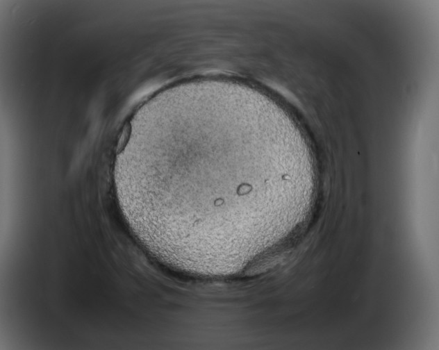 X0000086111359200704132200