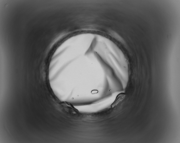 X0000086111360200704132200